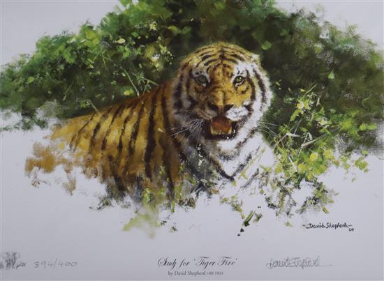 David Shepherd (1931-2017), four small signed limited edition prints, including Study for Tiger Fire, largest 20 x 24cm